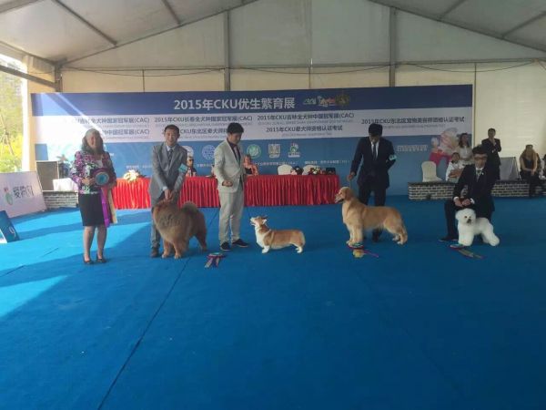 QQ图片20150702222654.jpg