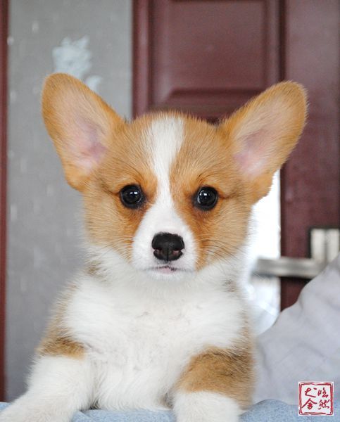1DD-02 (2).jpg