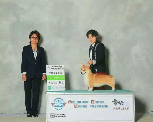 皮皮4.jpg