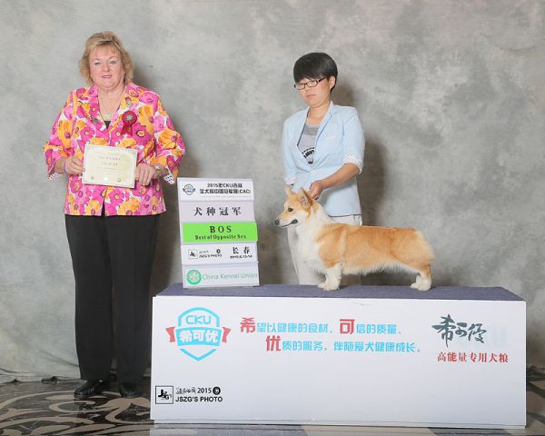 yoyo长春bos1.jpg