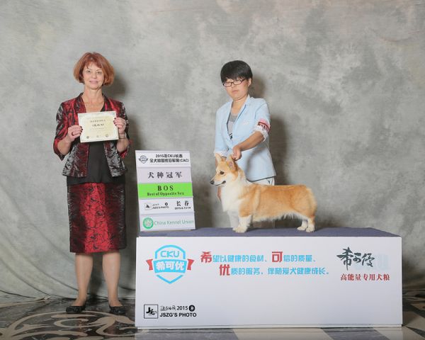 yoyo长春bos2.jpg