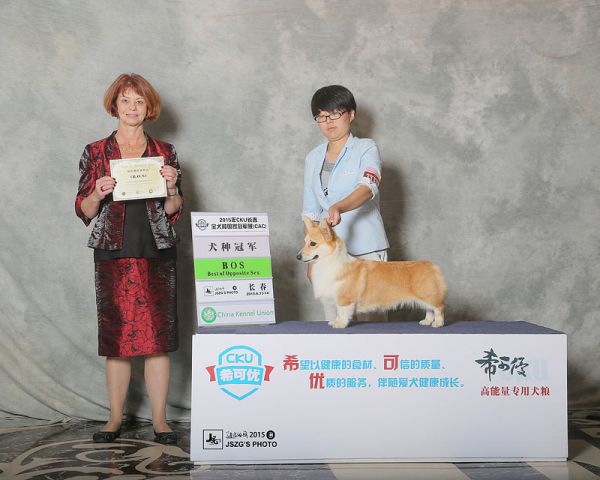 yoyo长春bos3.jpg