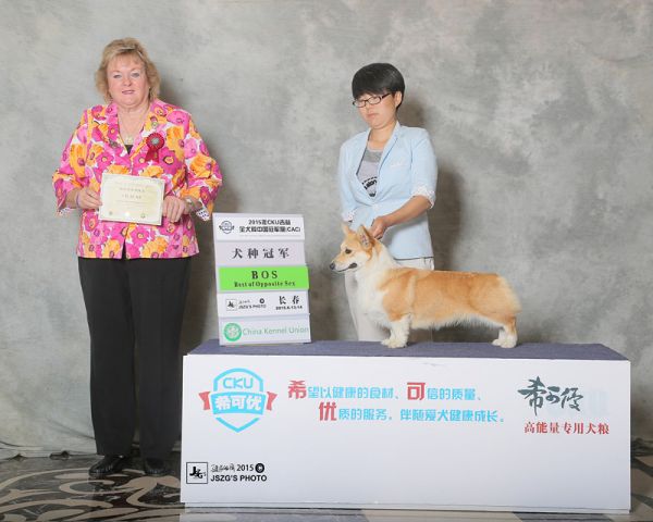 yoyo长春登陆BOS.jpg