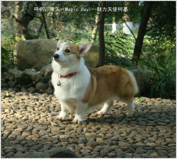 魔天.JPG