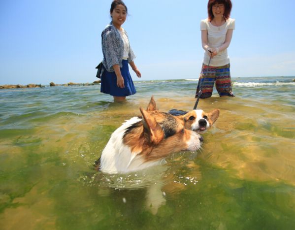 终于等到这一天，和你在一起！