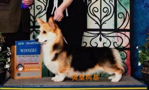 image.jpg