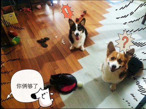 PIC_20150705_223001_A0F_meitu_1.jpg