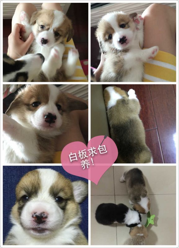 PIC_20150708_234732_EF9_meitu_3.jpg