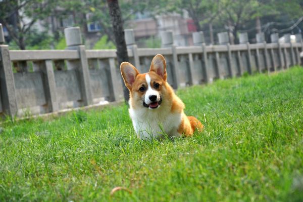 DSC_1304_副本_副本.jpg