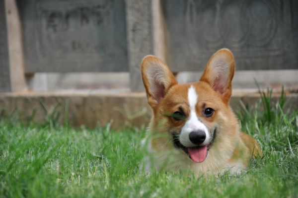 DSC_1316_副本_副本.jpg