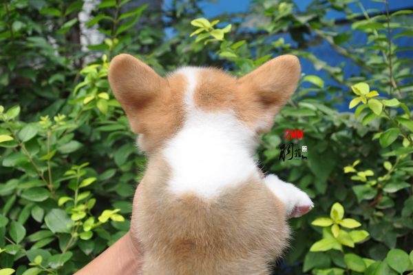 DSC_1250_副本.jpg