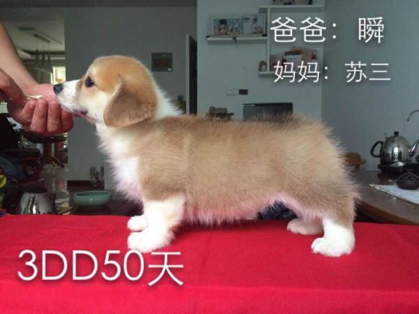 QQ图片20150715190730.jpg