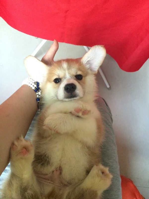 QQ图片20150715190744.jpg