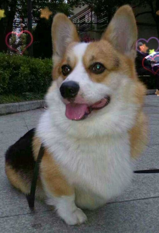 default-99.jpeg