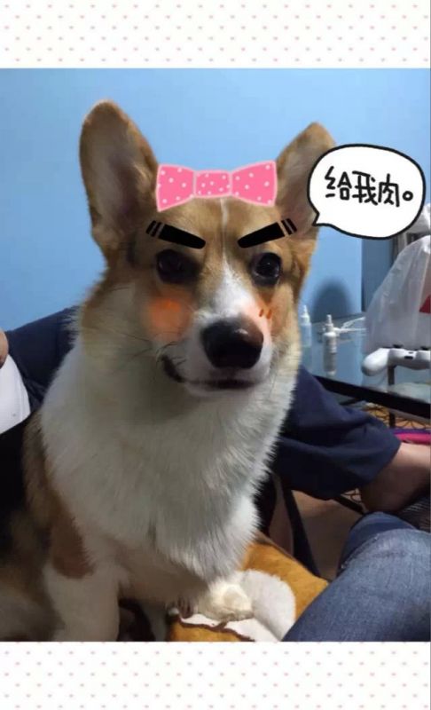default-101.jpeg