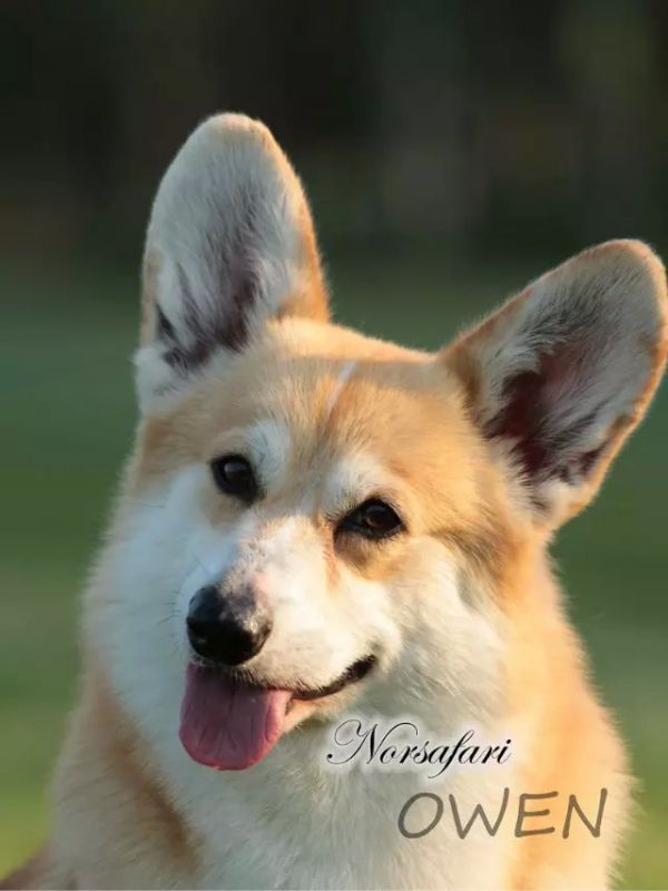 psb (2)6676.jpg