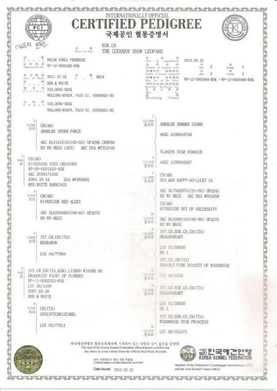 psb (3).jpg