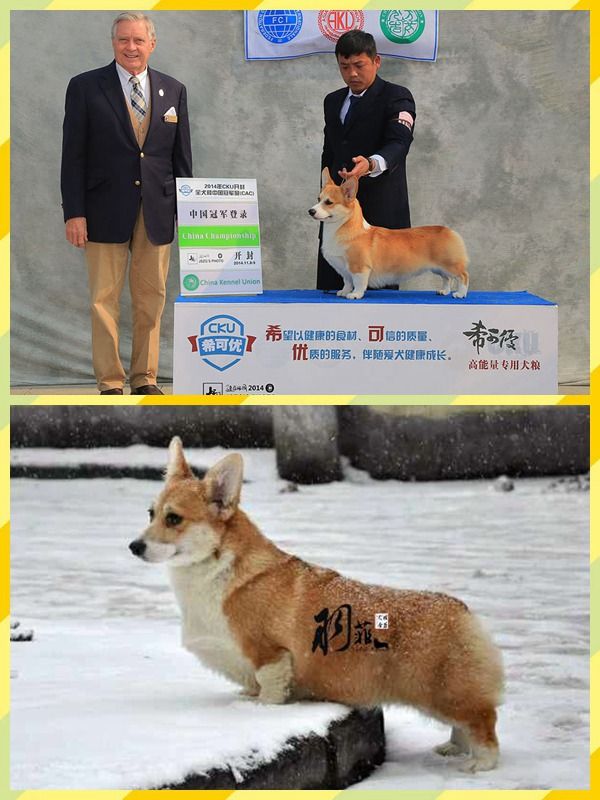 父母.jpg