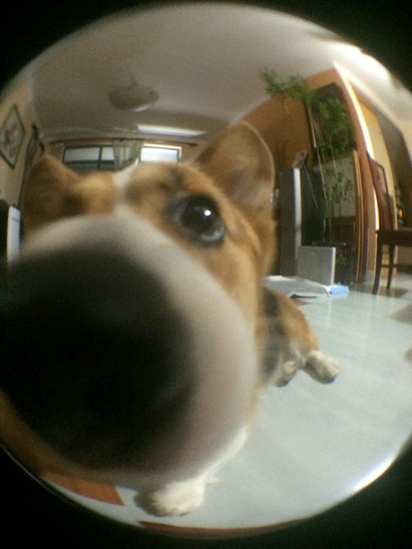 PIC_20150701_214418_194_meitu_1.jpg
