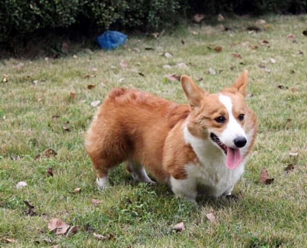 image.jpg