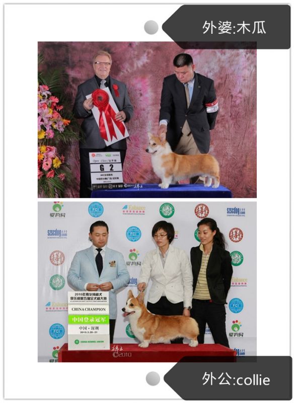 262043139582_副本.jpg