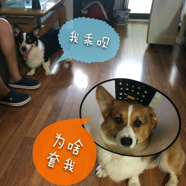 PIC_20150815_180900_87A_meitu_1.jpg