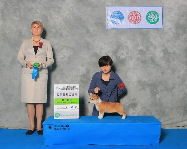 四周