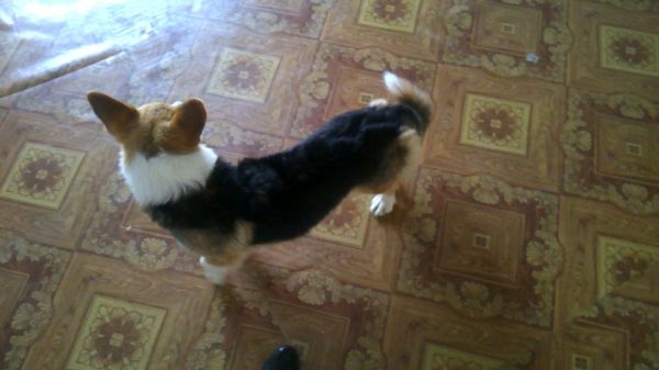 WP_20150817_034.jpg