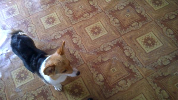 WP_20150817_035.jpg