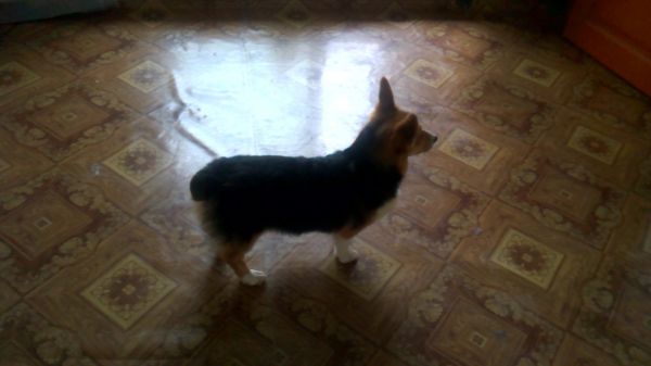 WP_20150817_023.jpg