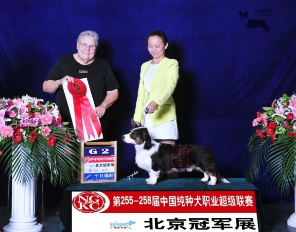 赏励5.jpg