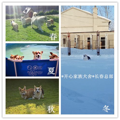 长春.jpg