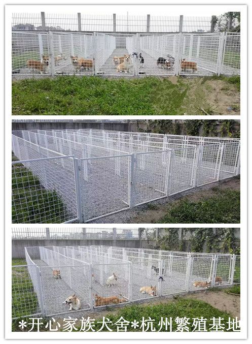 杭州.jpg
