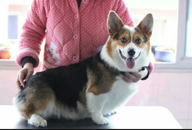 (1GICOG{XTWWLXR22[C05S9.png