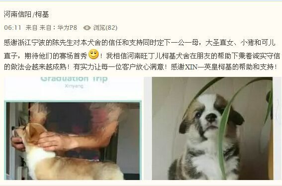 陈先生买基.jpg