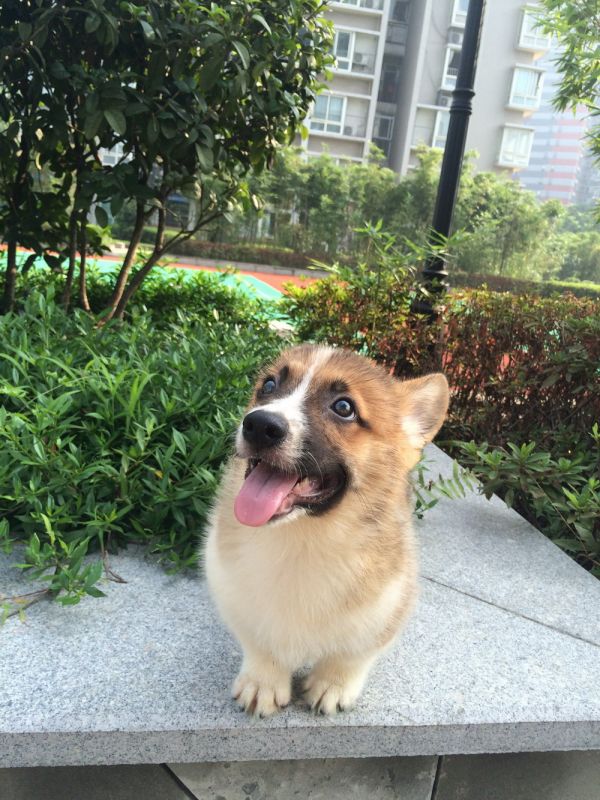 1D-31.jpg