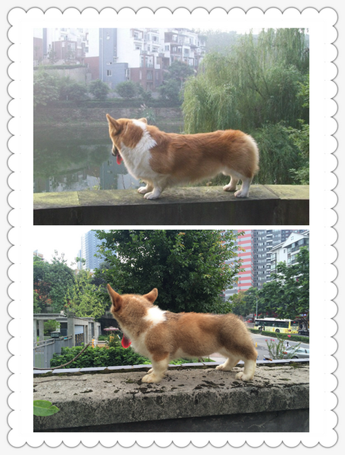 老爸与孩子2.png