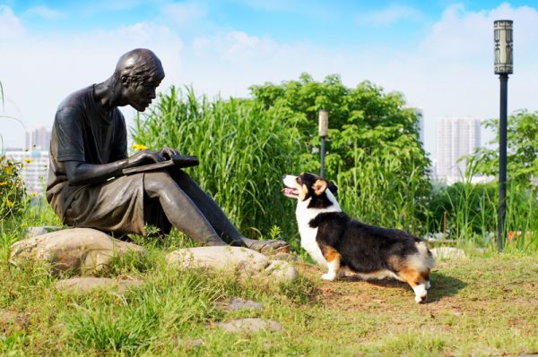 种公优酷—威罕直子（翁奇直孙）