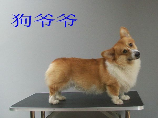 莫爷.jpg