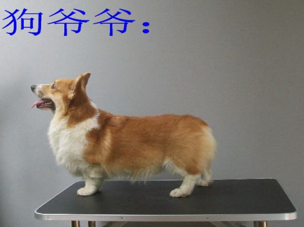 莫爷2.jpg