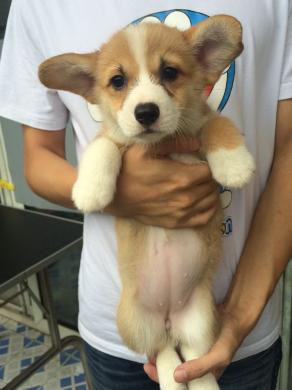 PEINI&amp;William 2015 50日龄 5M-1.jpg