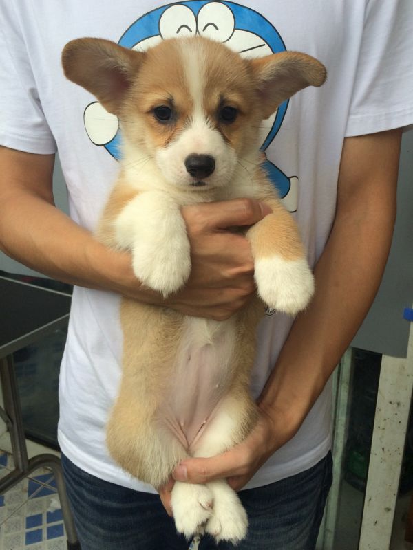 PEINI&amp;William 2015 50日龄 5M-5.jpg