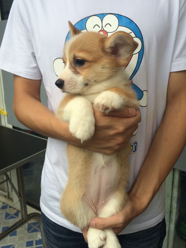 PEINI&amp;William 2015 50日龄 5M-6.jpg