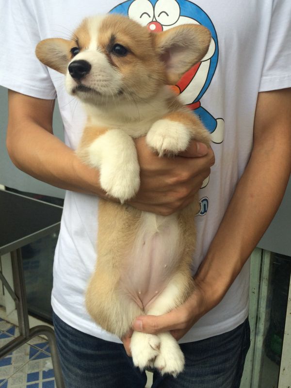 PEINI&amp;William 2015 50日龄 5M-7.jpg