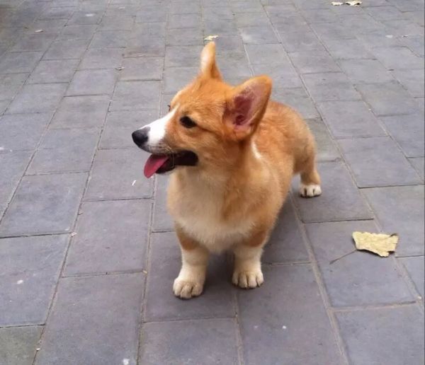 image.jpg