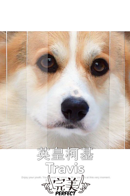 image.jpg