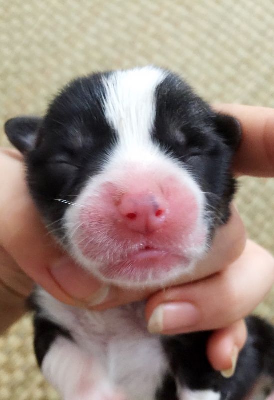 image.jpg
