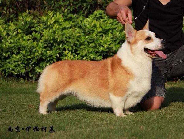 QQ图片20150724214432.jpg