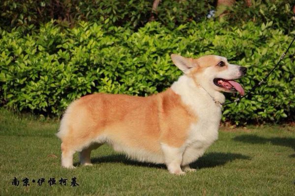 QQ图片20150724214419.jpg