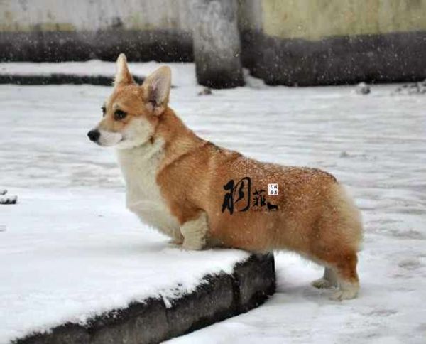 美伦.JPG